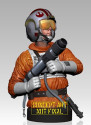 Luke Skywalker Snowspeeder Pilot Deluxe Mini Bust