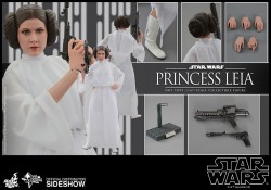 Hot Toys ANH Princess Leia