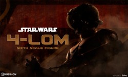 Sideshow 4-LOM Preview