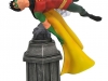 DST-DC-Gallery-Robin