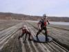 DST MS Ant-Man 05