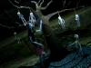 DST TNBC 25 Clown Sally Tree