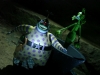 DST TNBC 25 Clown Undersea