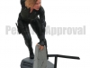 DST AIW Gallery Black Widow