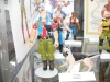 GI Joe ARAH Archive 13