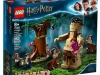 LEGO-75967-Forbidden-Forest-Umbridge-Encounter-Pkg
