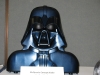 vader-case-project-swca-curt-hanks-a