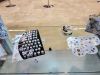 SWCA22-Asmodee-10