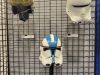 SWCA22-Denuo-Novo-05