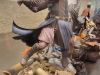 SWCA22-Sideshow-29