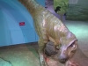 Strong Museum of Play 63