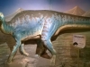 Strong Museum of Play 65
