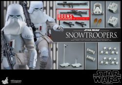 Hot Toys Snowtroopers Pack 04