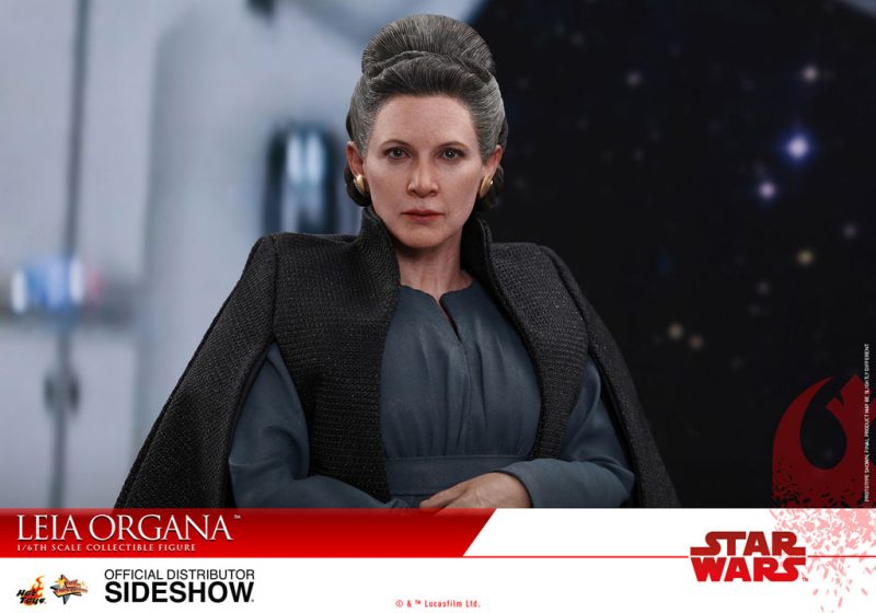 Hot Toys Leia Organa Banner