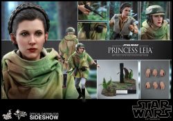 Hot Toys Endor Princess Leia Accessories