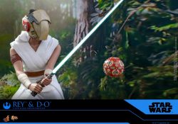 Hot Toys The Rise Of Skywalker Rey D-O Training