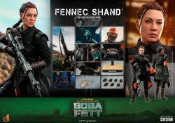 Hot Toys TBoBF Fennec Shand Accessories