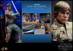 Hot Toys Luke Skywalker Bespin Accessories