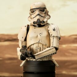 Gentle Giant The Mandalorian Remnant Trooper Bust Front