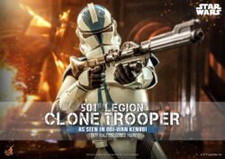 Hot Toys 501st Legion Clone Trooper OWK